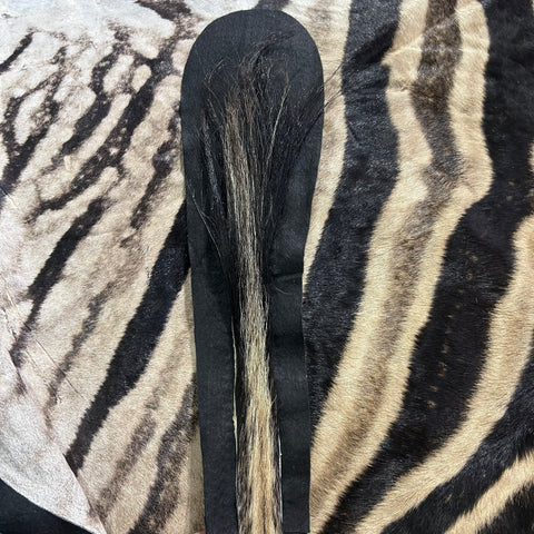 Real Zebra Skin Rug # 81 (Felted/Tail is 28") Size: 9x6 feet Genuine Burchells