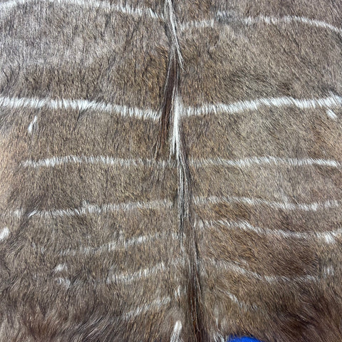 Male Nyala Skin - D-986 - Deer Leather Rug - Deer skin for wallets, hand bags, deer floor rug - Male Nyala Hide - Nyala Antelope Skin