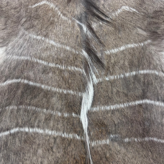 Male Nyala Skin - D-986 - Deer Leather Rug -Deer skin for pillows, wallets, hand bags, deer floor rug - Male Nyala Hide - Nyala Antelope Skin