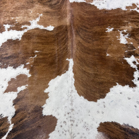 Brazilian Tricolor Cowhide Rug Size: 7.5x6.5 feet Y-198
