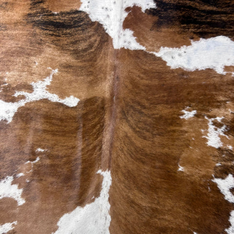 Brazilian Tricolor Cowhide Rug Size: 7.5x6.5 feet Y-198