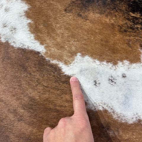 Brazilian Tricolor Cowhide Rug Size: 7.5x6.5 feet Y-198