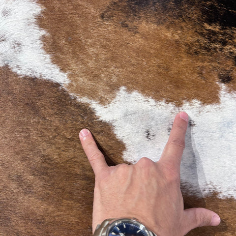 Brazilian Tricolor Cowhide Rug Size: 7.5x6.5 feet Y-198