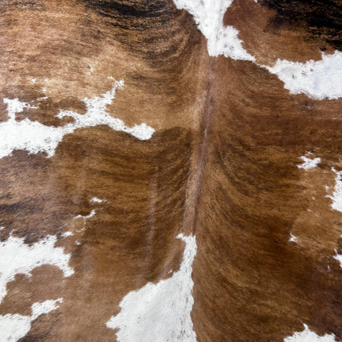 Brazilian Tricolor Cowhide Rug Size: 7.5x6.5 feet Y-198