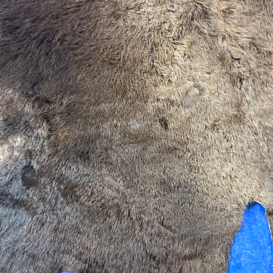 Bison Skin Rug Size: 8.8x6.6 feet # 13
