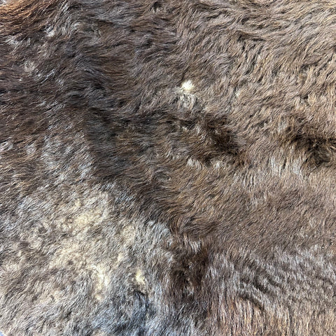 Bison Skin Rug (full tail) Size: 8x8 feet # 15