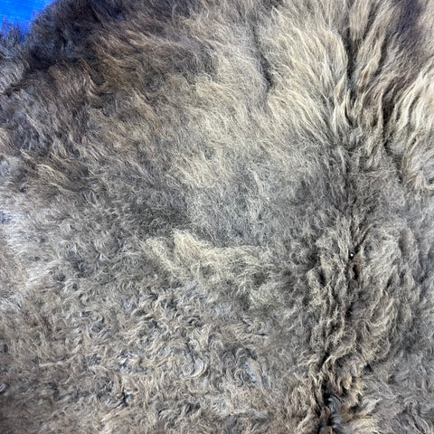 Bison Skin Rug (full tail) Size: 8x8 feet # 15