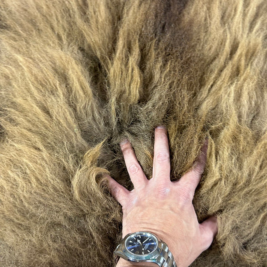 Bison Skin Rug Size: 8x8 feet # 15 - Real Bison Skin Robe