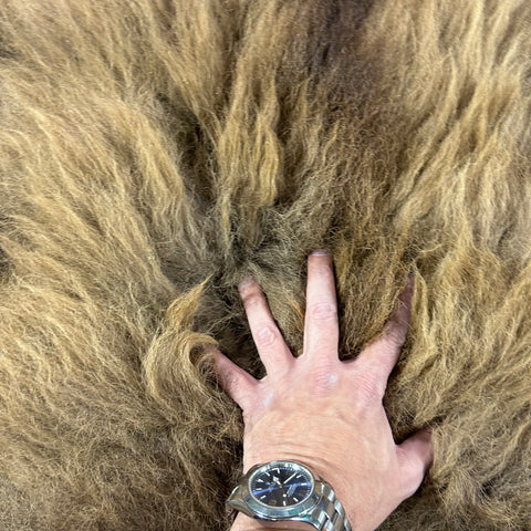 Bison Skin Rug (full tail) Size: 8x8 feet # 15