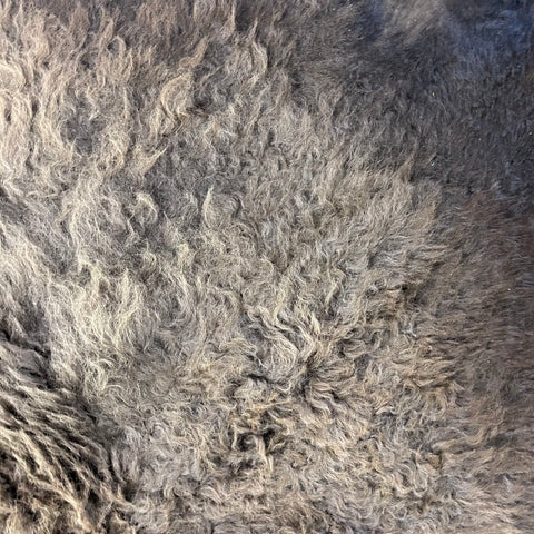 Bison Skin Rug (full tail) Size: 8x8 feet # 15