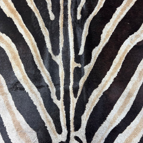 Genuine Zebra Cowhide Rug (center is a bit grey) Size: 7x5.7 feet D-772