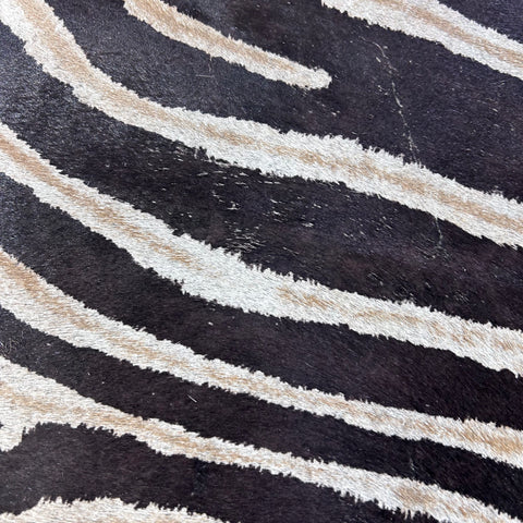 Genuine Zebra Cowhide Rug (center is a bit grey) Size: 7x5.7 feet D-772