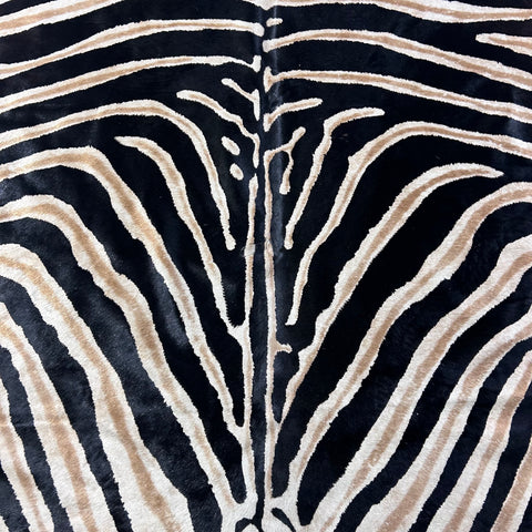 Genuine Zebra Cowhide Rug (center is a bit grey) Size: 7x5.7 feet D-772