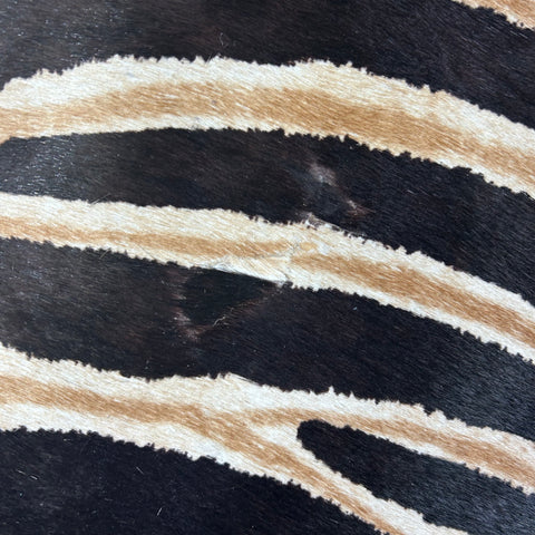 Dark Genuine Zebra Cowhide Rug (2 small patches + bald spot) Size: 6.3x5.5 feet D-773