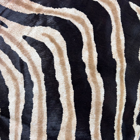 Dark Genuine Zebra Cowhide Rug (some small scars) Size: 6.5x5.5 feet D-774