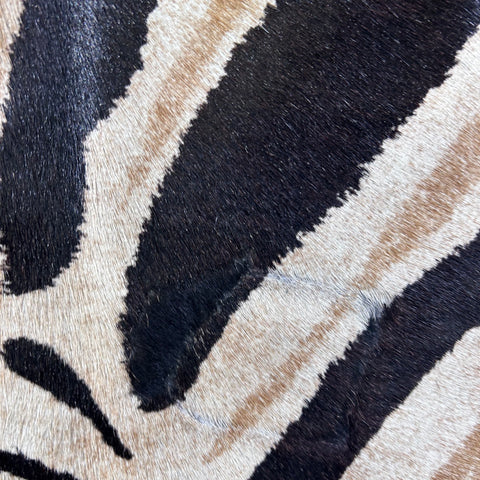 Dark Genuine Zebra Cowhide Rug (some small scars) Size: 6.5x5.5 feet D-774