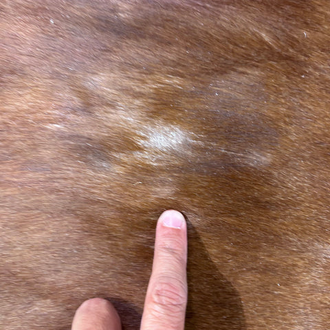 Hereford Cowhide Rug (45 sq ft) Size: 7x7.2 feet Colombia-24