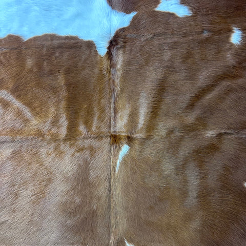 Hereford Cowhide Rug (34 sqft) Size: 7x6.5 feet Colombia-16