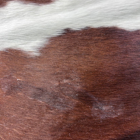 Hereford Cowhide Rug (32.75 sq ft) Size: 6x6.2 feet Colombia-14