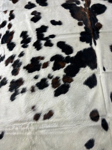 Big Speckled Tricolor Cowhide Rug Size: 8x7 feet D-311
