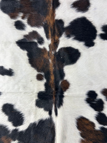 Big Speckled Tricolor Cowhide Rug Size: 8x7 feet D-311