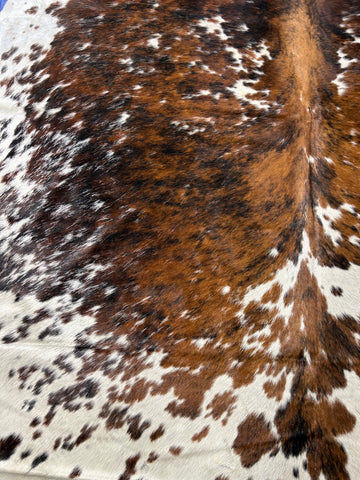 Big Gorgeous Tricolor Cowhide Rug Size: 8x7 feet D-312