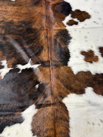 Tricolor Speckled Cowhide Rug Size: 8x7.7 feet D-313