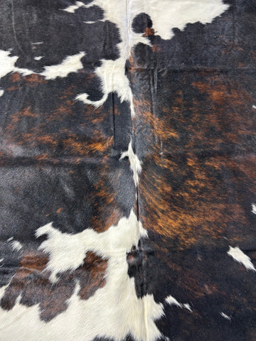 Big Tricolor Cowhide Rug Size: 8x6 feet D-315