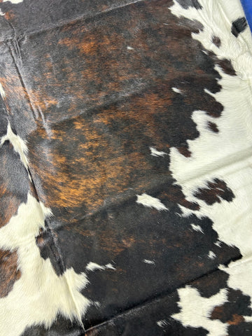 Big Tricolor Cowhide Rug Size: 8x6 feet D-315