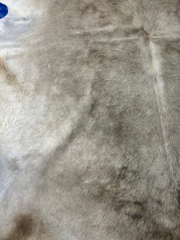 Palomino Cowhide Rug Size: 7x6.5 feet D-316