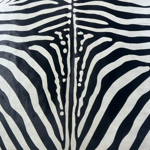 African Zebra Cowhide Rug (1 scratch) Size: 7x5.5 feet Z-253