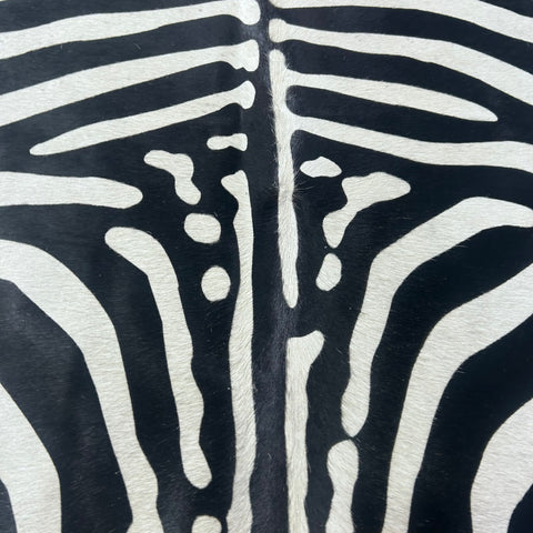 African Zebra Cowhide Rug (1 scratch) Size: 7x5.5 feet Z-253
