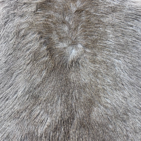 Mountain Reedbuck Skin Size: 34x28" D-794