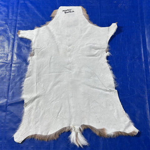 Mountain Reedbuck Skin Size: 34x28" D-794