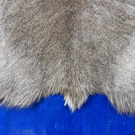 Mountain Reedbuck Skin Size: 35x28" D-795