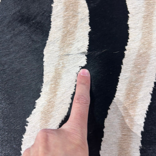 Light Genuine Zebra Cowhide Rug Size: 7x5.7 feet Z-256