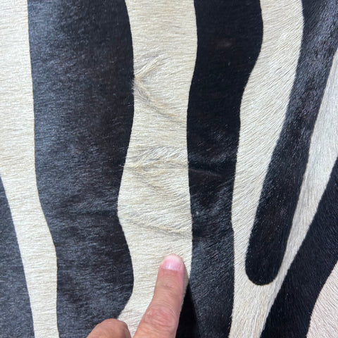 Upholstery Zebra Print Cowhide Rug (light beige background/ fire brand in the middle) Size: 7x5.7 feet J-002