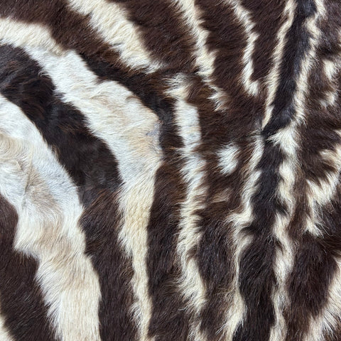 Felted Real Zebra Skin Rug # 83 (Tail is 24") Size: 6x5 feet Burchells Zebra