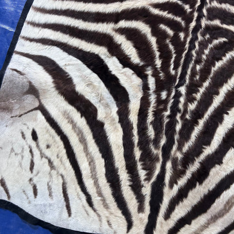 Felted Real Zebra Skin Rug # 83 (Tail is 24") Size: 6x5 feet Burchells Zebra