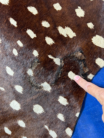 Axis Deer Print Cowhide Rug (print on neck is a bit faded/ fire brand) Size: 7.5x6.5 feet D-328