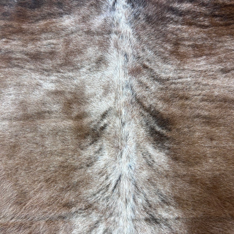 Light Beige Brindle Cowhide Rug (Cool dorsal line 36 sq ft) Size: 7x6 feet Colombia-38