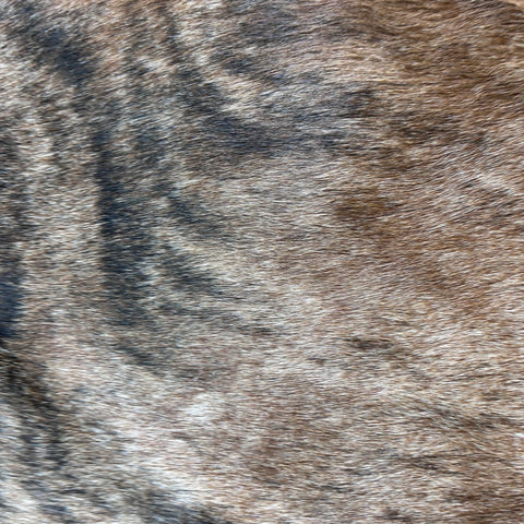 Light Beige Brindle Cowhide Rug (Cool dorsal line 36 sq ft) Size: 7x6 feet Colombia-38