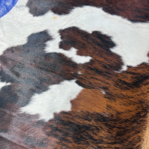 Tricolor Cowhide Rug (43.50 sq ft) - BEAUTIFUL Size: 8x7 feet Colombia-264