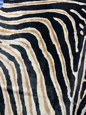 Dark Genuine Zebra Print Cowhide Rug (small size) Size: 6.5x5.7 feet D-341