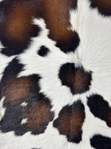 Tricolor Calf Skin Size: 42x32" D-348