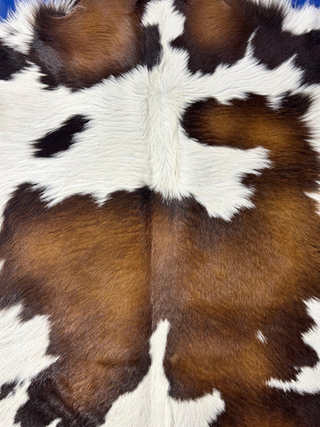 Tricolor Calf Skin Size: 41x35" D-349