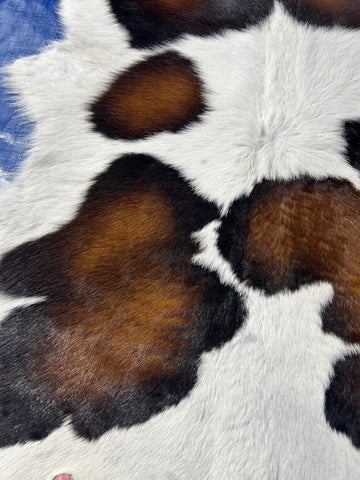 Tricolor Calf Skin Size: 39x36" D-350