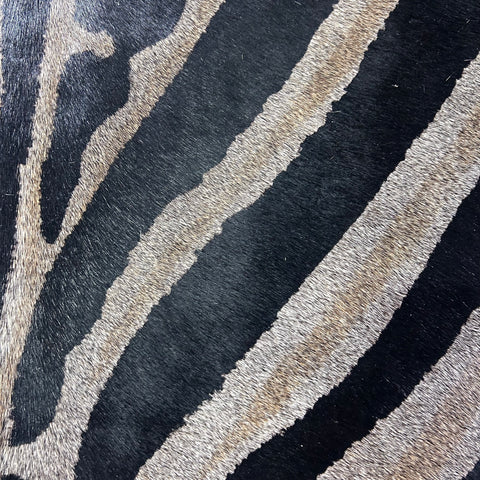 Genuine Zebra Print Cowhide Rug (dark grey background) Size: 7.5x6.2 feet Z-263