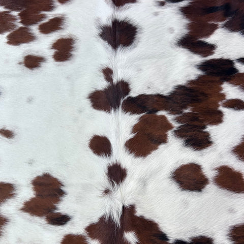 HUGE Tricolor Cowhide Rug (50 sq ft) Size: 8.2x7 feet Colombia-80