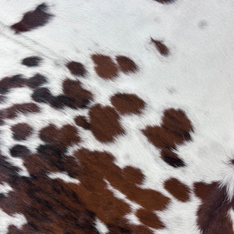 HUGE Tricolor Cowhide Rug (50 sq ft) Size: 8.2x7 feet Colombia-80